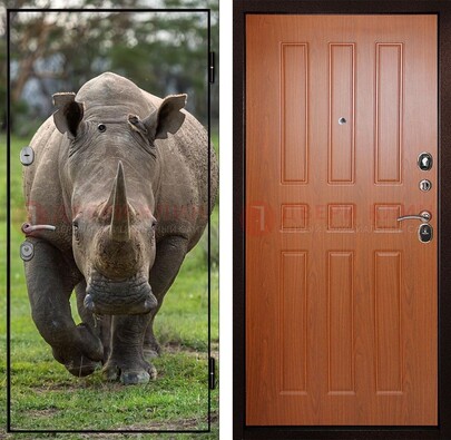 Металлическая дверь с фотопечатью носорога ДФ-31 в Лобне