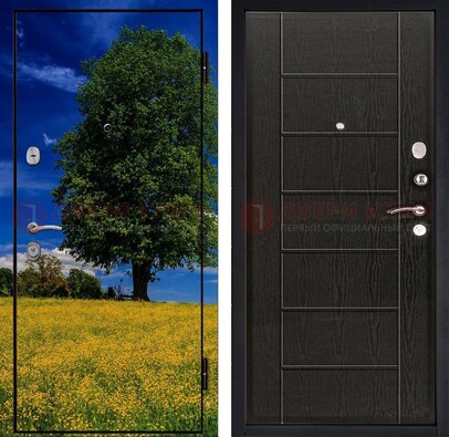 Железная дверь с фотопечатью дерева в поле ДФ-36 в Лобне