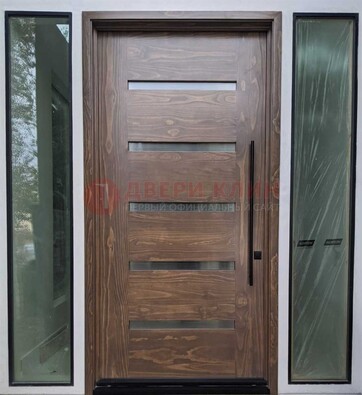 Железная дверь с виноритом и фрамугами ДВТ-189 в Лобне